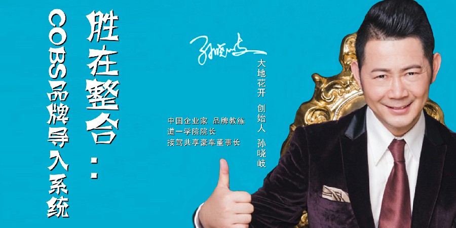 孙晓岐-胜在整合：COBS品牌导入系统