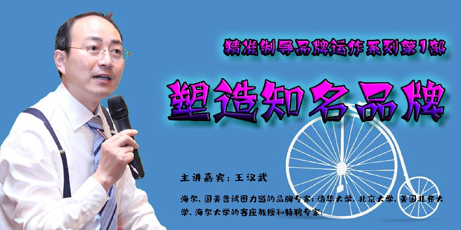 王汉武-精准制导品牌运作系列