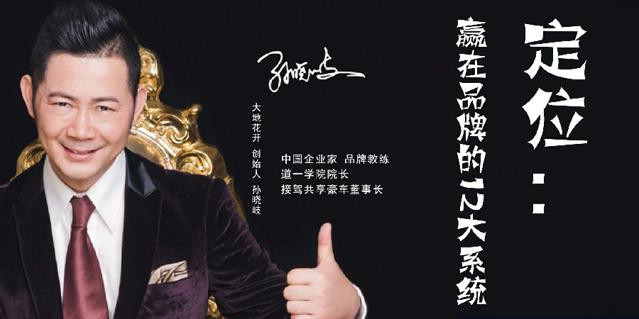 孙晓岐-定位：赢在品牌的12大系统