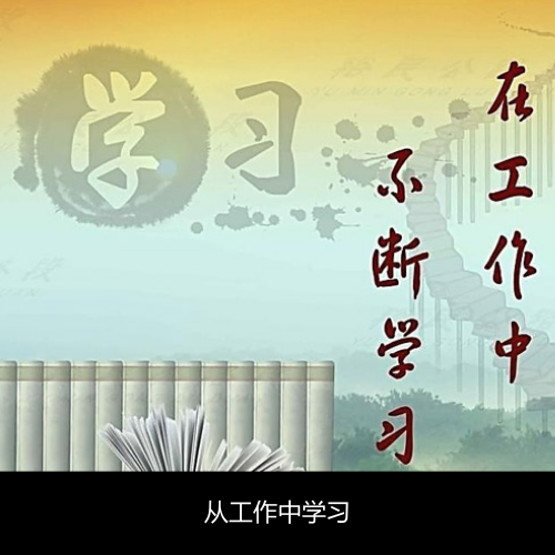 从工作中学习