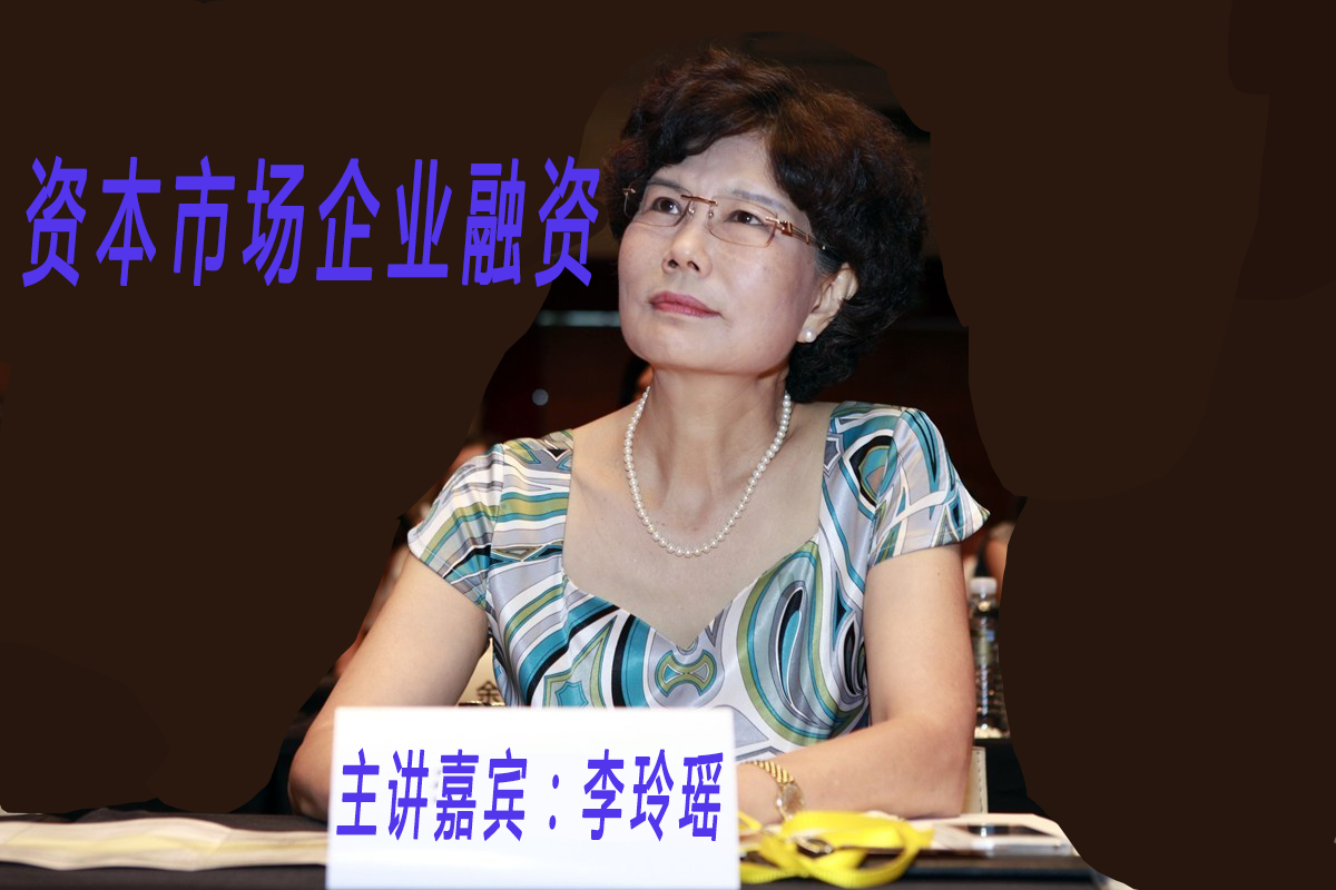 资本市场与企业融资