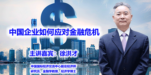 徐洪才--中国企业如何应对金融危机