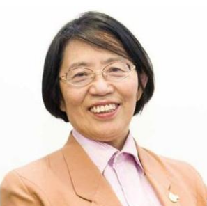 杨团