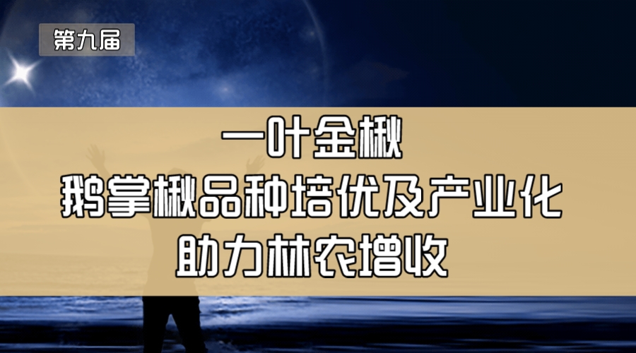 一叶金楸—鹅掌楸品种培优及产品化助力利农增收