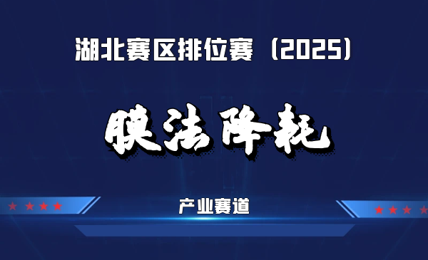 有机溶剂纯化渗透气化膜技术与产业化