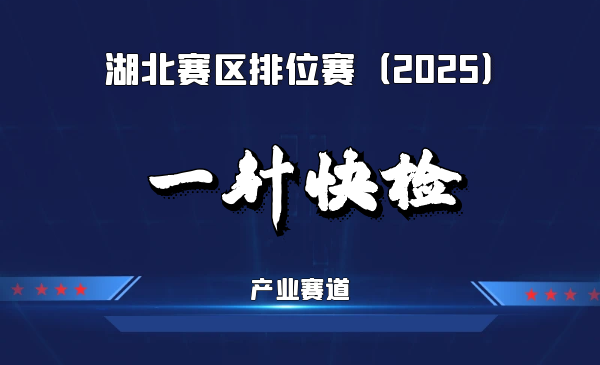 基于纺织材料微纳加工的肿瘤探针及检测系统